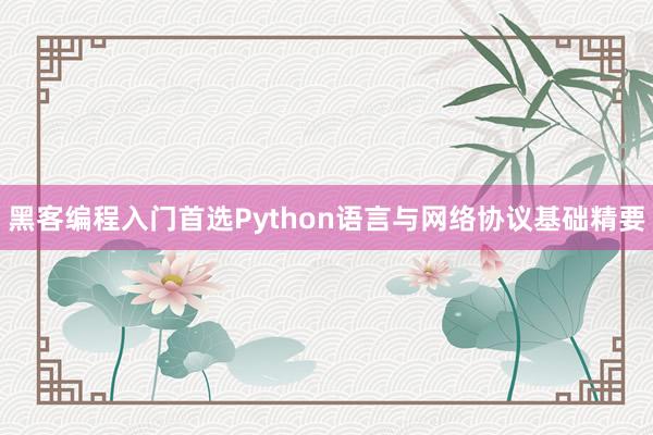 黑客编程入门首选Python语言与网络协议基础精要