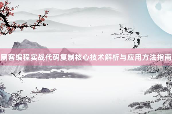 黑客编程实战代码复制核心技术解析与应用方法指南